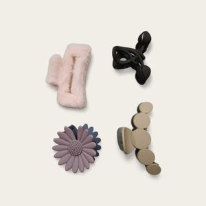 Set of 4 Chic Hair Clips