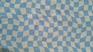 Blue Checkered Cropped Top
