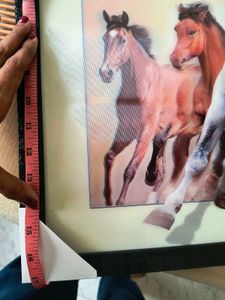 5D Horse Wall Poster