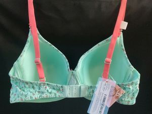 34C Padded Bra (Non-wired)