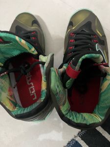 🚨 Nike LeBron Basketball Shoes