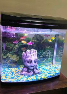 BluePet Fish Aquarium 🐟
