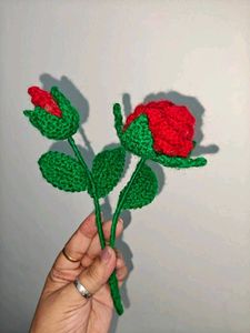 Seashell Wall Vase 🐚with Crochet Flower🌹