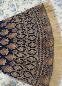Blue Velvet Embroidered Lehenga Skirt