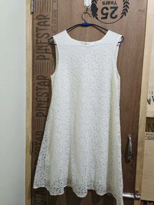Elegant Lace Dress