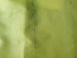 ✨New Green Saree with Gold Border✨