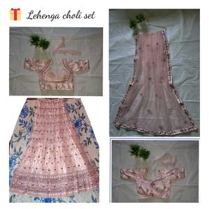 Elegant  Lehenga Choli Set✨