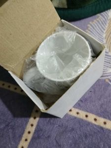 BTS Cup