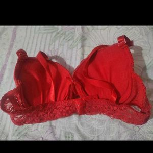 Bridal Red Lace Push-Up padded Bra net