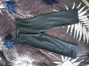 Formal Pants,Light Black