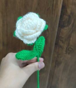 Handmade Crocheted colorful Roses 💐