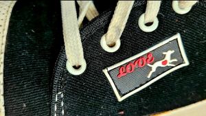 New trendy pair of sneakers(Size6)