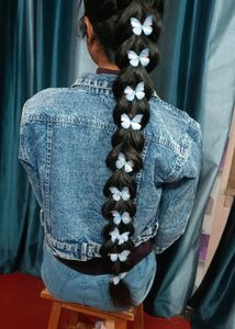 Butterfly Hair Clip 300 For 5 Clip