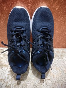 Campus Shoes