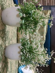 Artificial Flower Plants