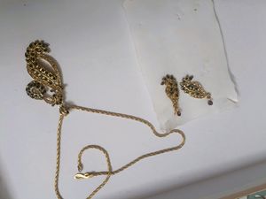 Beautiful Party Wear Necklace & Earrings Set