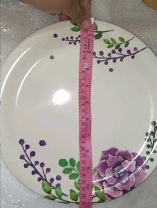 Unused New Floral Design Dinner Plates - Set of 2