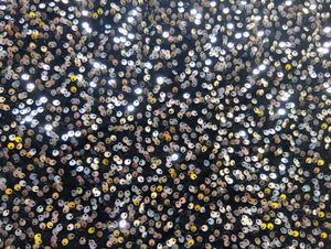 Sparkling Black Sequin Mini Dress