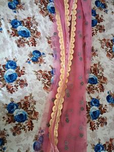 Lehenga With Beautiful Embroidery