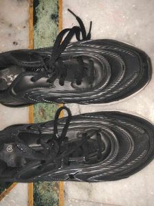 unisex Sparx Running Shoes