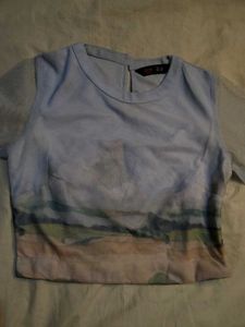 Unique Landscape Print Sheer Sleeve Top