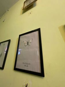 Cute Wall Painting For Hall and Room