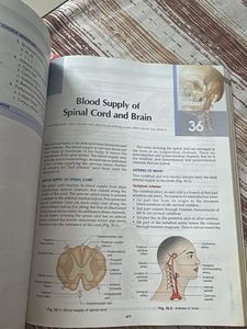 BD Chaurasia's Human Anatomy for Dental Students