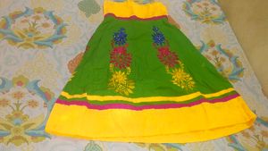 Embroidered Green &amp; Yellow Skirt