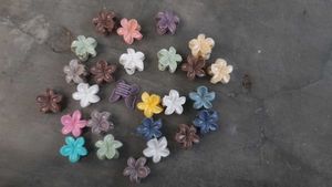 Set of 10  Flower Hair Claw Clips