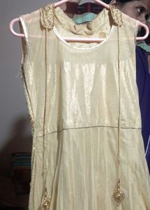 Elegant Embroidered Ethnic Gown