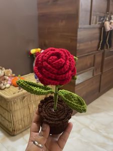 BAB Teddy Bear with  crochet Flower Pot
