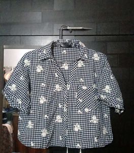 ZARA Chic Gingham Embroidered Button-Up Shirt