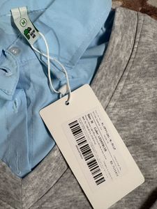 V-Neck Grey Sweatshirt with Blue Shirt Insert