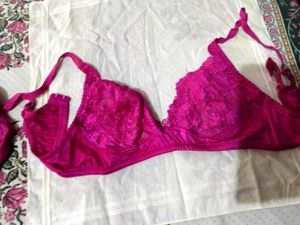 fresh panty women brief