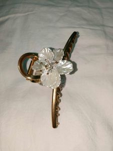 combo of two fairy hair clip