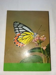 12th Std Botany Book