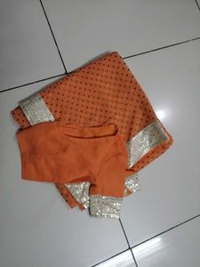 Elegant Orange Saree with Embellished Border