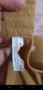 Enamor padded bra