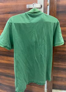 Green Lacoste Polo T-Shirt Rare &amp; Orignal