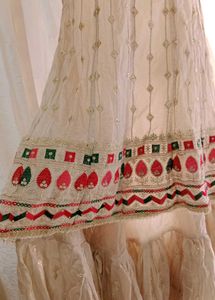 Elegant Ethnic Dress