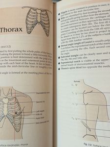 Surface and Radiological Anatomy Book