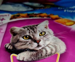 Pedigree(2)+ Whiskas(2)+ Henlo + Felix = Pet Food!