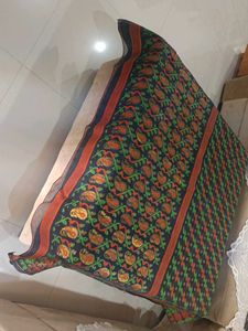 Beautiful Paisley Print Saree
