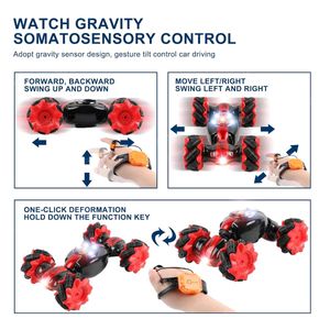 Remote Control RC Off Road Double Sided Stunt Car