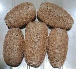 Natural Loofah Sponges (Set of 5)