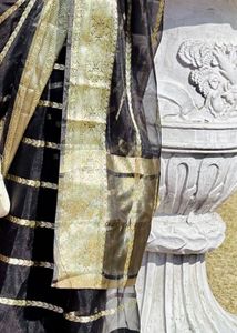 Elegant Black &amp; Gold Saree