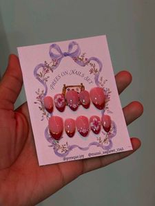 Press On Nails Set