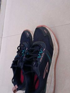 Asian Sport Shoes