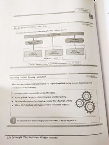 Prince 2