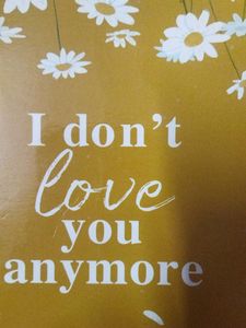 I Don't Love You Anymore
